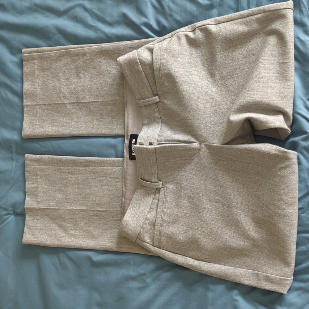 Express Dress Pant